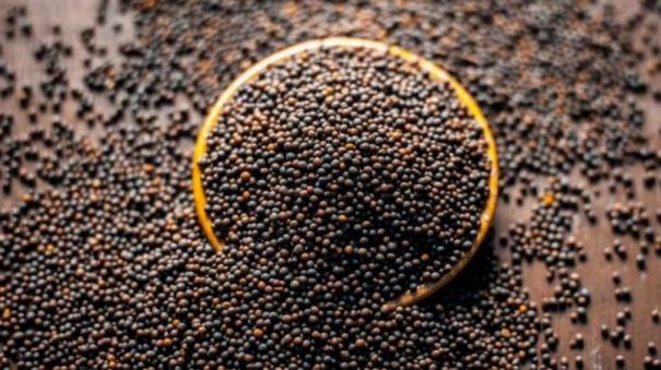 Mustard Seeds, கடுகு, Sarsoo / Raaiya