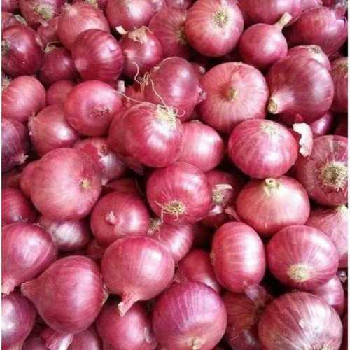 Onion Medium Size., வெங்காயம் நடுத்தர அளவு, Piyaz Medium Size