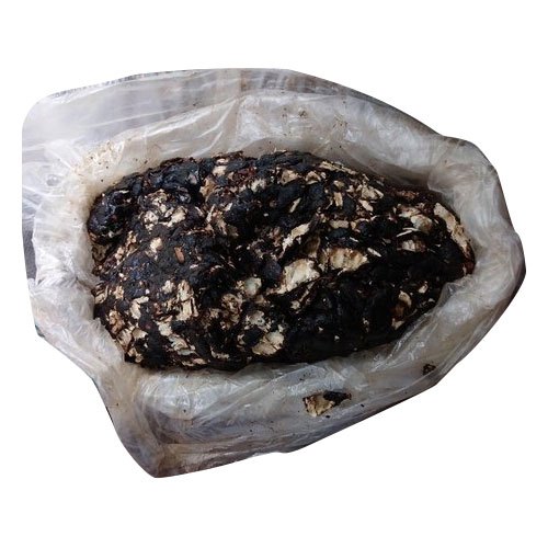 Black Tamarind, கரும் புளி, Kaali Emli