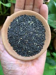 Basil Seeds, சப்ஜா விதை,  Tukh Malanga