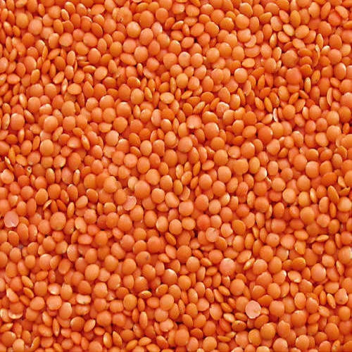 Masoor Dal, மைசூர் பருப்பு,Masoor Daal