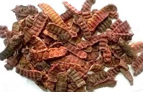 Acasia Concinna, சீயக்காய், Sikayki